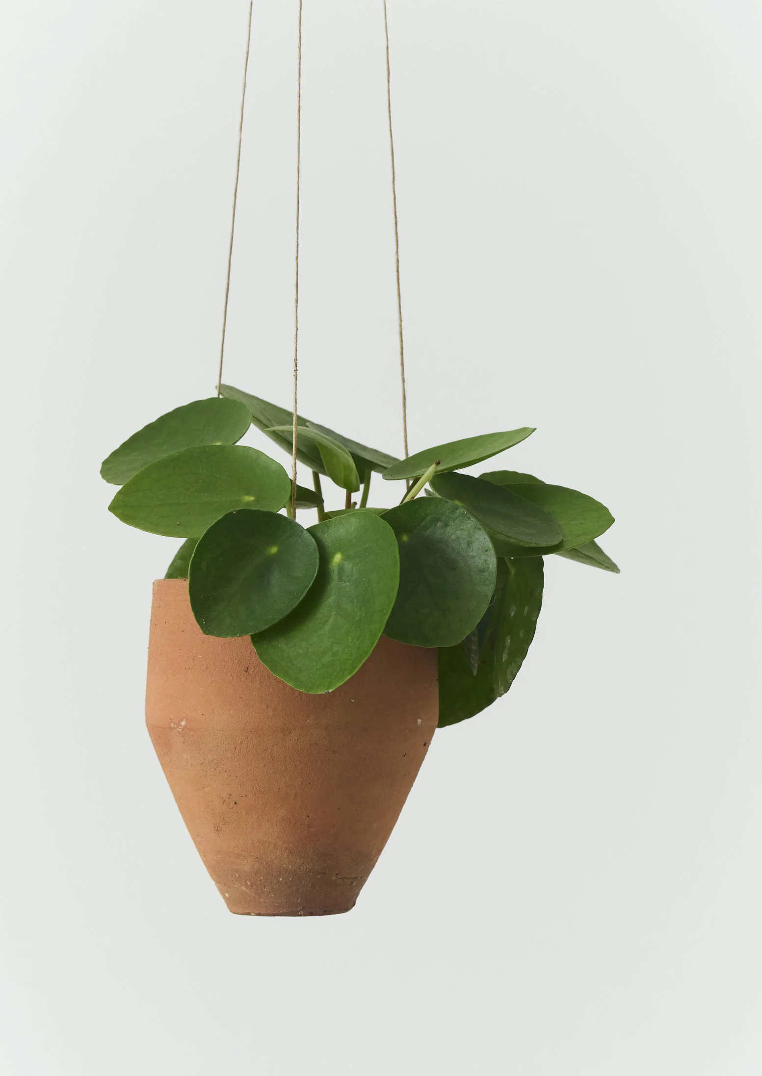 Homeware New In